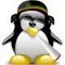coolbob
