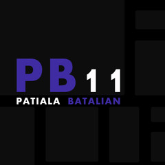 pb11