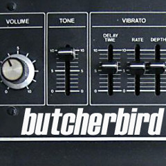 butcherbird