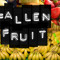 FallenFruit