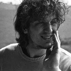 luca.braccini