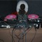 Dj Silent aKa Wild Pigeon