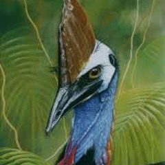 teacupbrownandthesalt