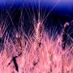 Friday Afternoons Op.7 Cuckoo - Benjamin Britten (arranged By Matthew Fenner)