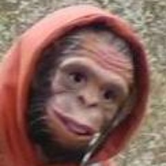 humanzee