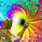 Avox