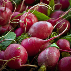 farmfreshbeets