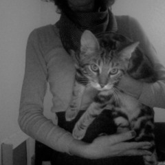 Harm - pour ma comtesse tristesse