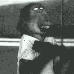 Pterradacto - As the World Turns