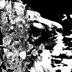 IMPLOSION-EXPLOSION