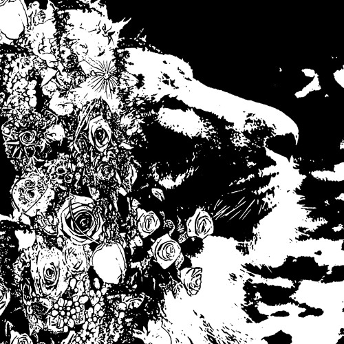 IMPLOSION-EXPLOSION