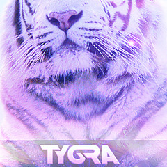 Tygra