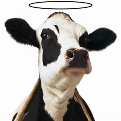 hilarious essay on cow Essay on cow funny cartoon feb 18, 2018 uncategorized let's see how much substantial progress i can make on my essay for lit. hilarious essay on cow Essay on cow funny cartoon feb 18, 2018 uncategorized let's see how much substantial progress i can make on my essay for lit.