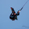 playkite