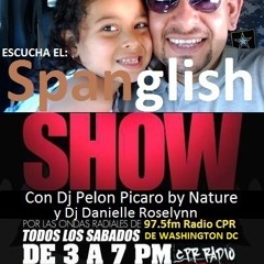 djpelonpicarobynature