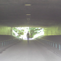 The Truth Is Out There