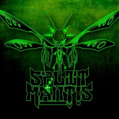 splitmantis