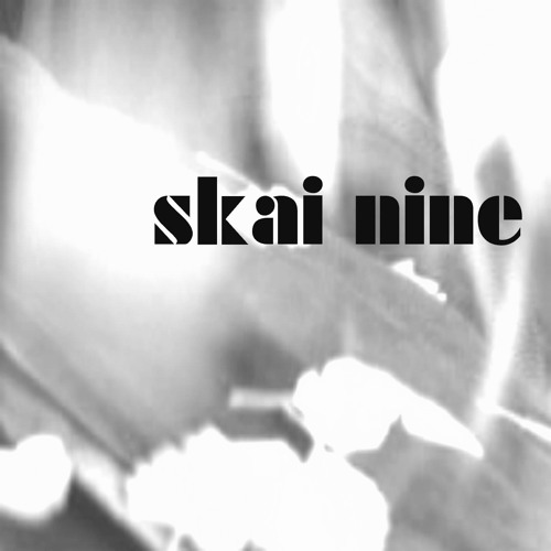 Skai Nine’s avatar