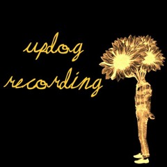 Updog Recording