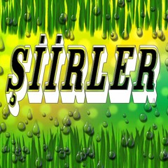 Şiirler