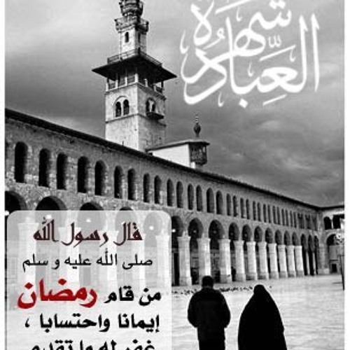 تلاوات خاشعة مؤثرة - الاصدار الثاني4