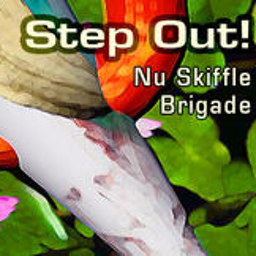 Nu Skiffle Brigade’s avatar