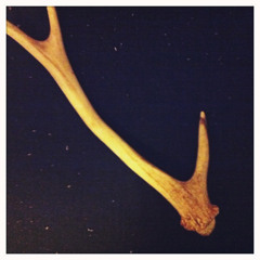 The Antler