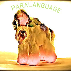 paralanguage