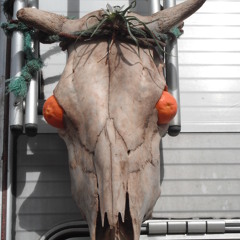 la brocante
