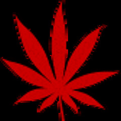 bassjunky