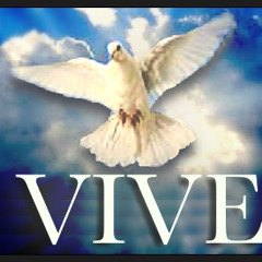 Vive (Official)