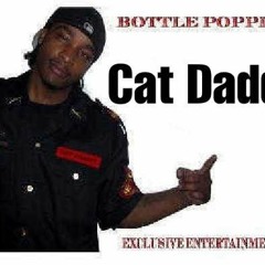 CAT DADDY