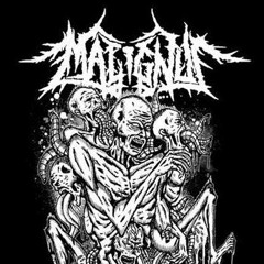 malignusband