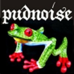 pudnoise