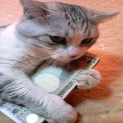 Cat Food Money Records