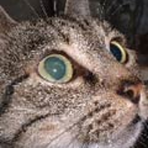 Over The Party Dub Remix 進化する豚 進化途中 大森靖子 seiko oomori