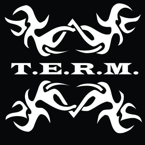 DJ T.E.R.M.’s avatar