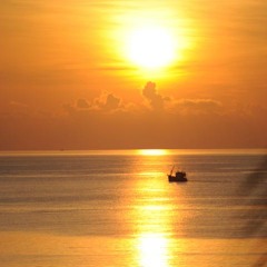 Karma Music Collection