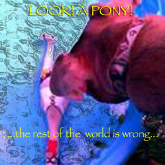 LOOK! A PONY!