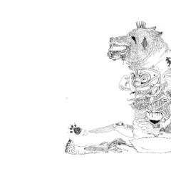 Lysergic Sound Diary