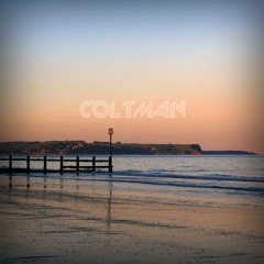Fire - High Rankin (COLTMAN REMIX)