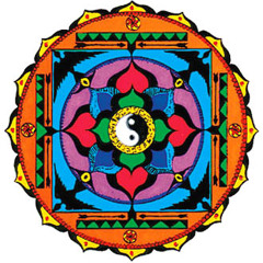 dchoubak