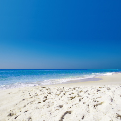 Public Displays of Infection