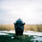 Green Bison
