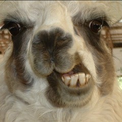 RZA/GZA (third world) + RZA/METHODMAN (NYC Everything) REMIX