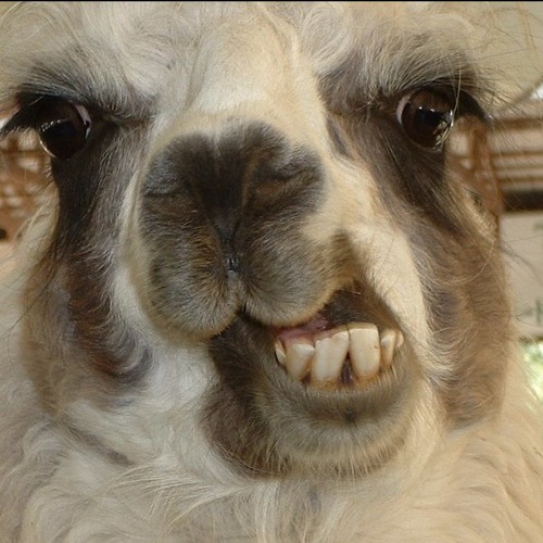 RZA/GZA (third world) + RZA/METHODMAN (NYC Everything) REMIX