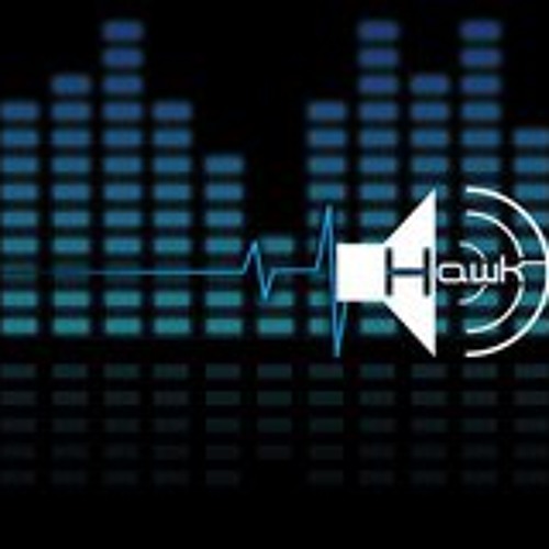 Hawk - Electronic Future