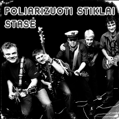 POLIARIZUOTI STIKLAI