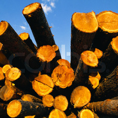 LoggedIn
