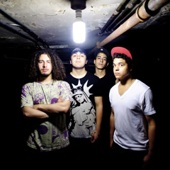 Animals & Architects